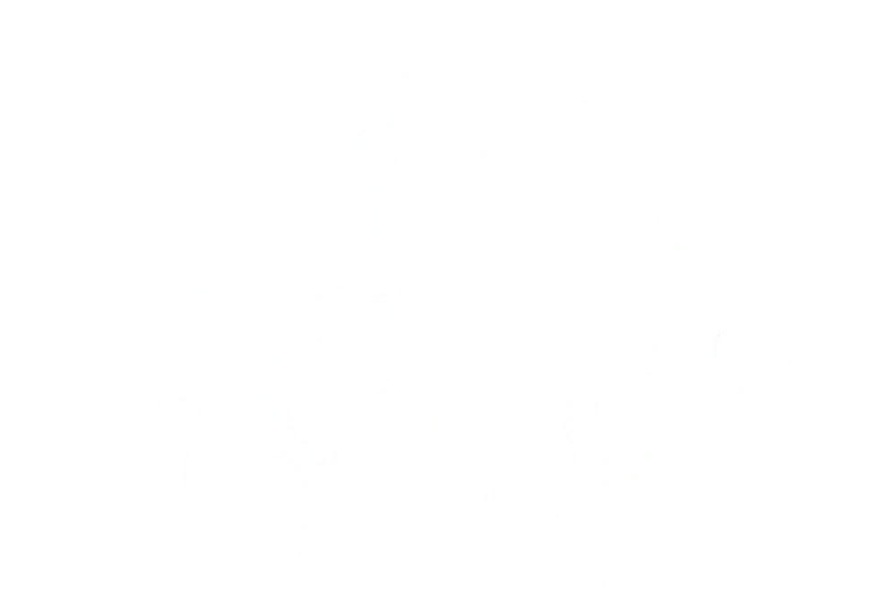 Illustration d'une séance photo en studio, avec appareil photo et éclairage